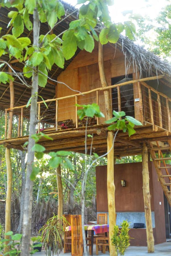 シギリヤPidurangala View Treehouseアパートメント エクステリア 写真
