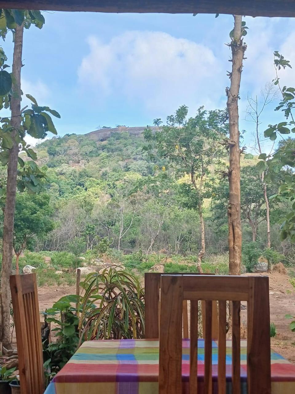 シギリヤPidurangala View Treehouseアパートメント エクステリア 写真