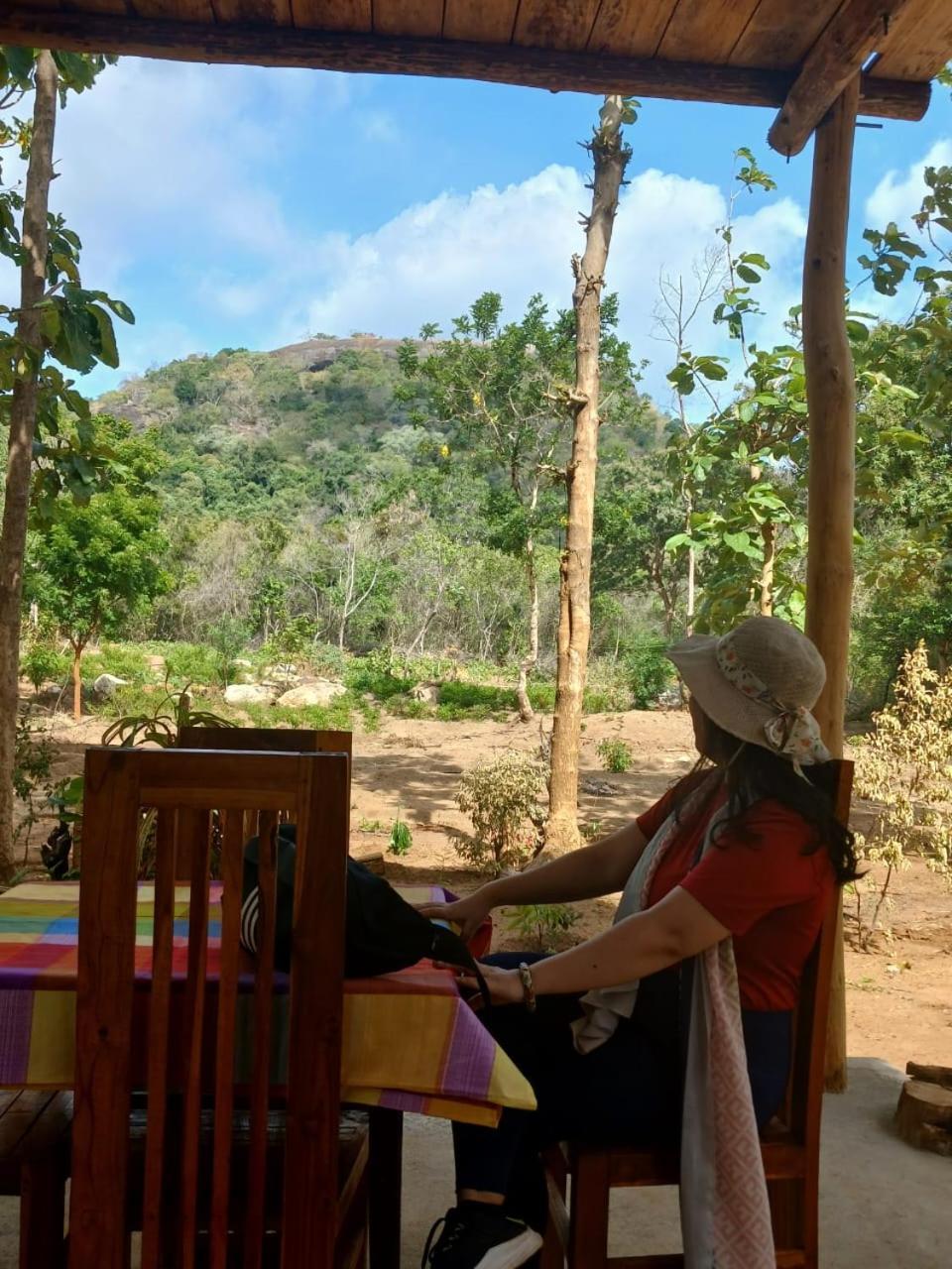 シギリヤPidurangala View Treehouseアパートメント エクステリア 写真