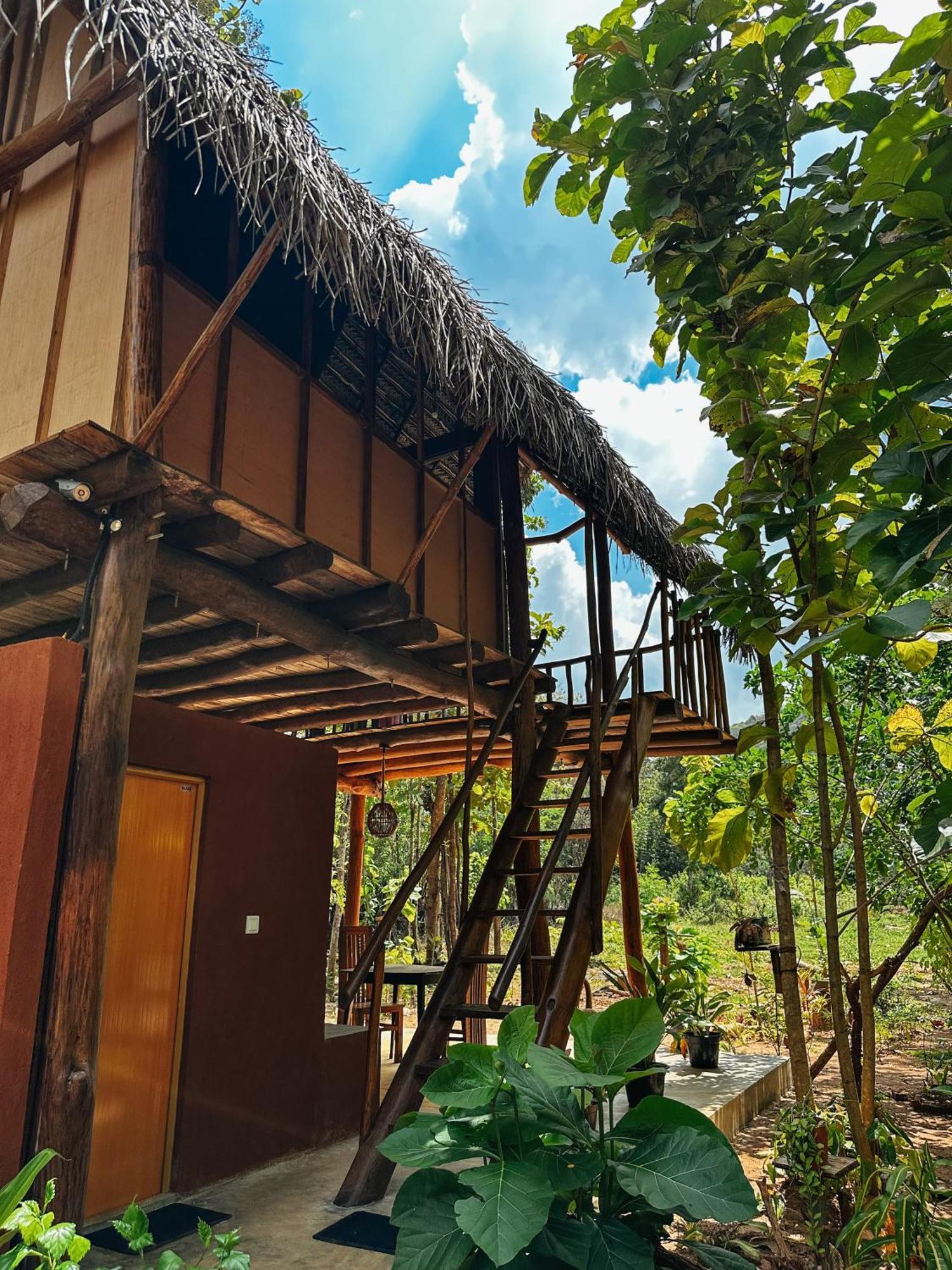 シギリヤPidurangala View Treehouseアパートメント エクステリア 写真