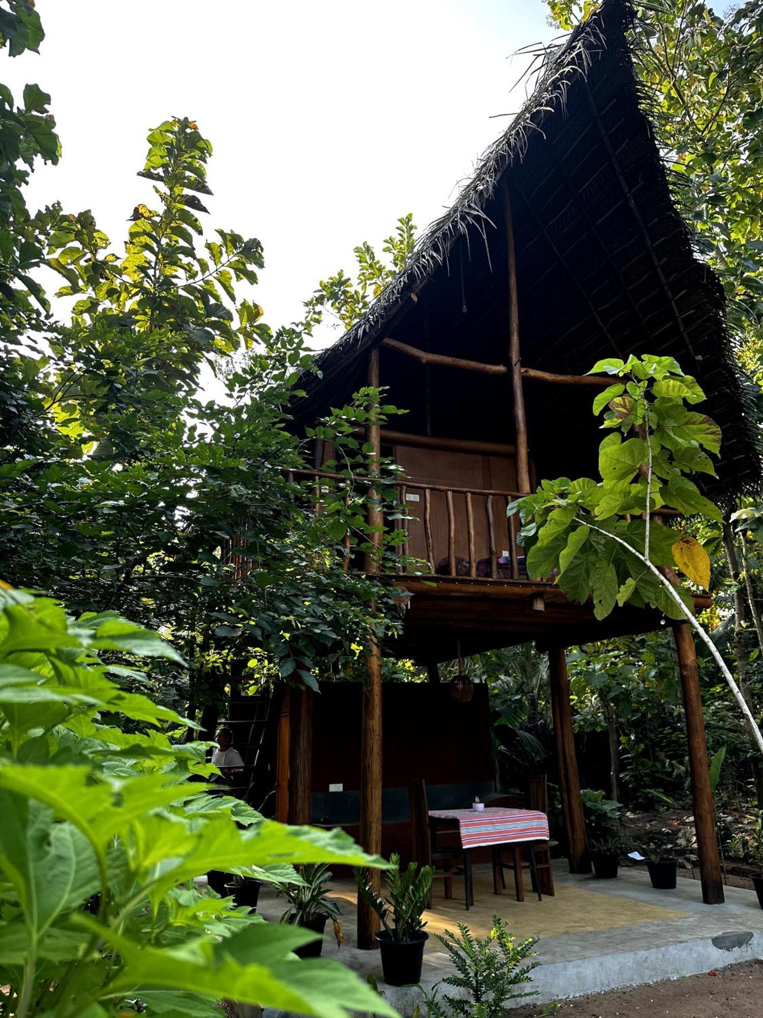 シギリヤPidurangala View Treehouseアパートメント エクステリア 写真