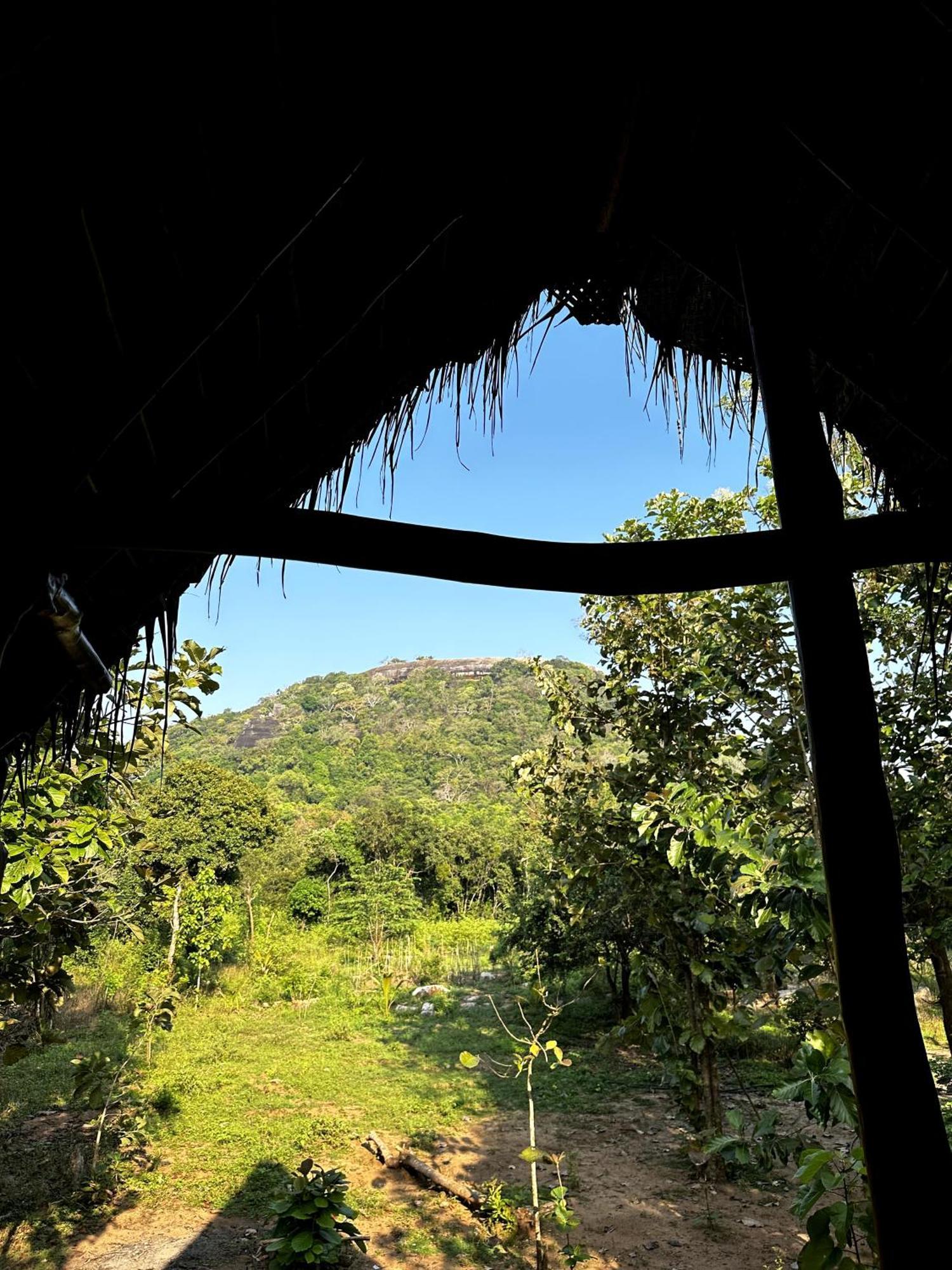 シギリヤPidurangala View Treehouseアパートメント エクステリア 写真