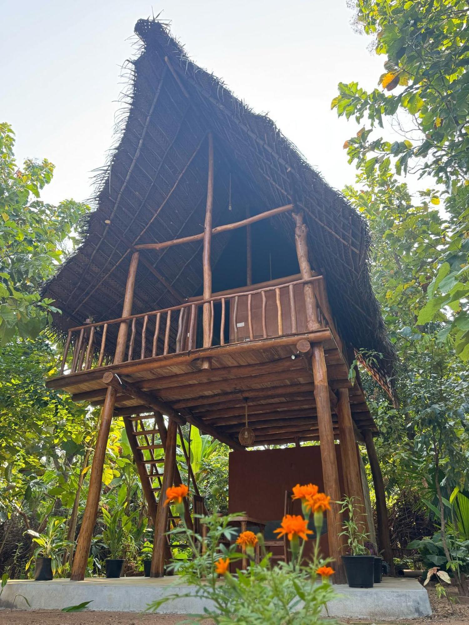 シギリヤPidurangala View Treehouseアパートメント エクステリア 写真