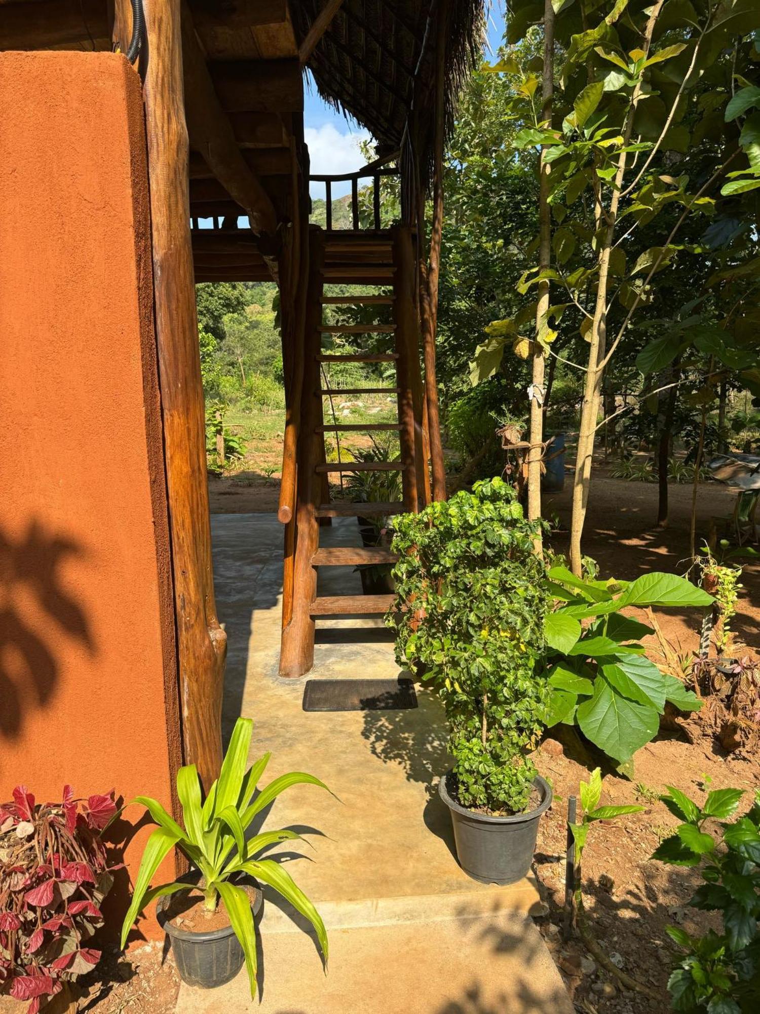 シギリヤPidurangala View Treehouseアパートメント エクステリア 写真